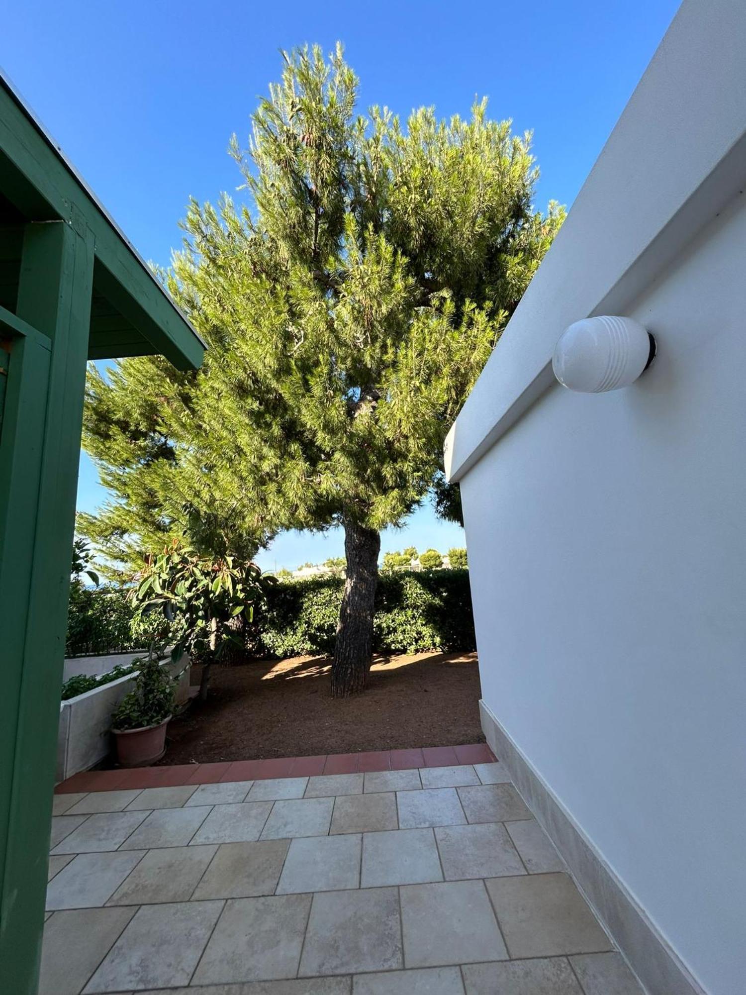 Villa Lamandia Monopoli Exteriör bild